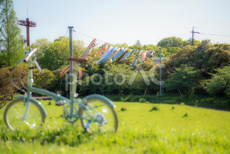 初夏の風景　５月 鯉のぼり,節句,春の写真素材