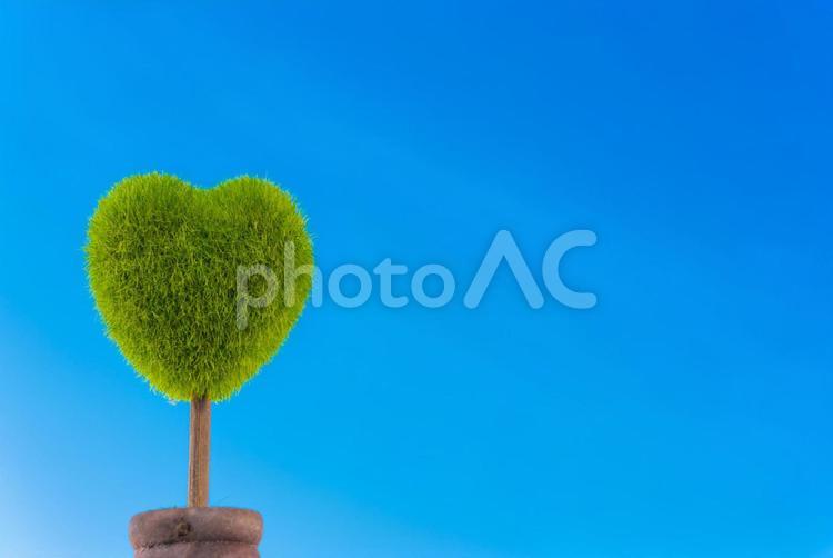 ハート型の植木と青空 エコ,エコロジー,カットの写真素材