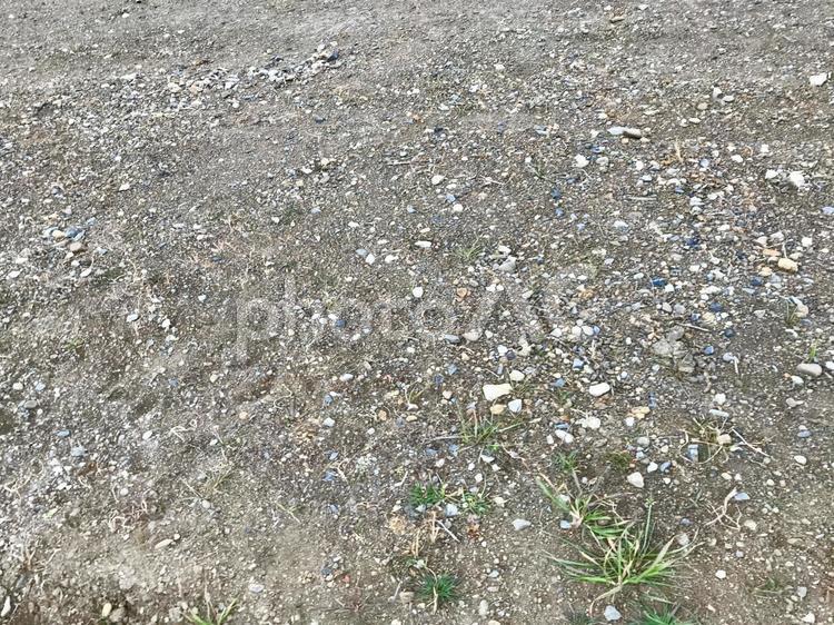 雑草と小石の砂利の地面 砂利,小石,雑草の写真素材