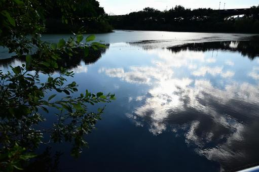 水面に映る雲 自然,池,雲の写真素材