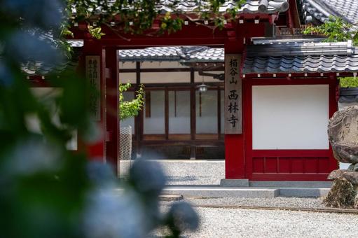 Sairinji Temple Tsumanogo Hydrangea Garden, JPG