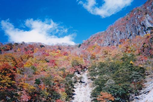 日光の紅葉④ 日光の紅葉④ 日光,紅葉,青空の写真素材