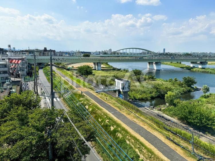 夏の登戸、多摩川河川敷 多摩川,河川敷,登戸の写真素材