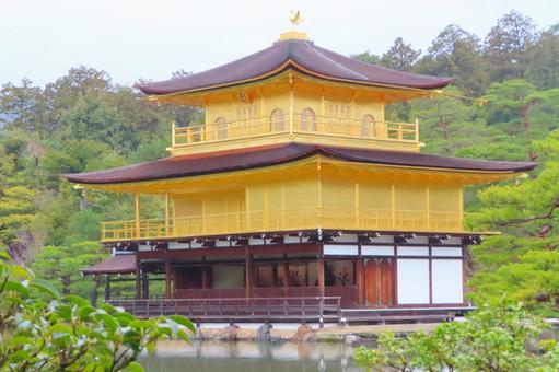 【京都】世界遺産金閣寺 【京都】世界遺産金閣寺 金閣寺,京都,寺社仏閣の写真素材