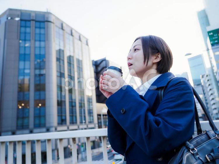 27：外出するビジネスウーマン 女性,女の子,人物の写真素材