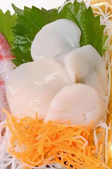 ホタテ刺身 ホタテ刺身,ホタテ貝,帆立の写真素材