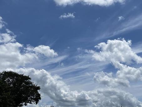夏空 夏空の写真