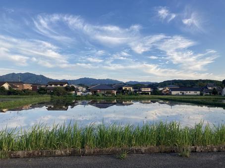 水面 水面 田植え,空,自然の写真素材