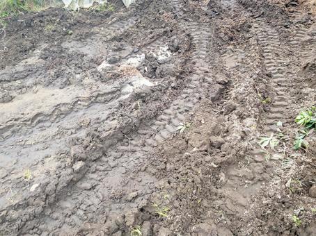 タイヤ跡のついた土 地面,土,泥の写真素材