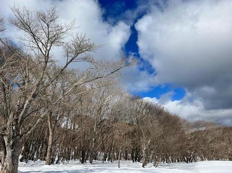 山の雪景色 山の雪景色の写真