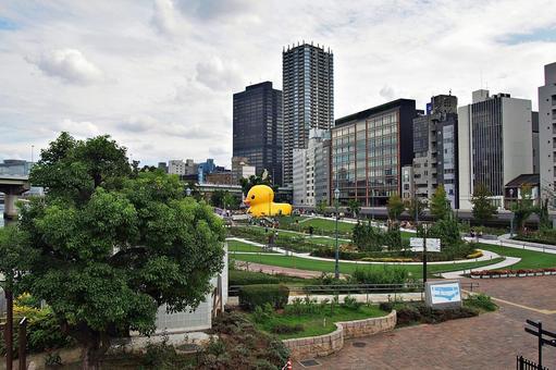難波橋より中之島公園の風景 難波橋より中之島公園の風景 難波橋,ライオン橋,中之島公園の写真素材