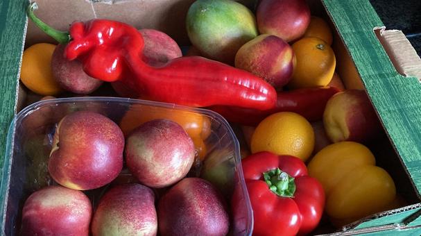 新鮮な野菜 野菜,美味しい,ダイエットの写真素材