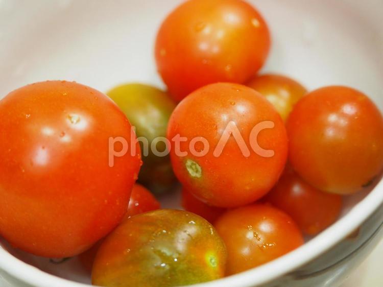 トマト・ミニトマトのアップ ミニトマト,トマト,新鮮な野菜の写真素材
