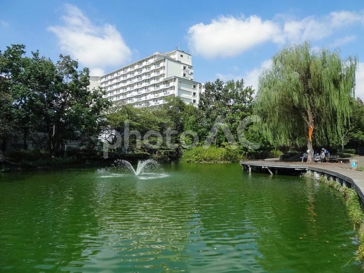 大田区立平和の森公園の池の噴水 平和の森公園,大田区,公園の写真素材