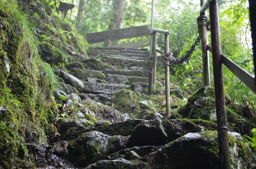 湿気に包まれた山道の登り 緑,深緑,森林の写真素材