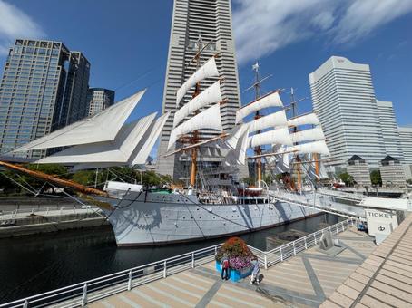 日本丸 総帆展帆 日本丸 総帆展帆 日本丸,総帆展帆,みなとみらいの写真素材