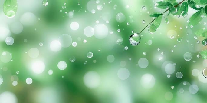 新緑のキラキラ背景と雨粒・光の輪の写真