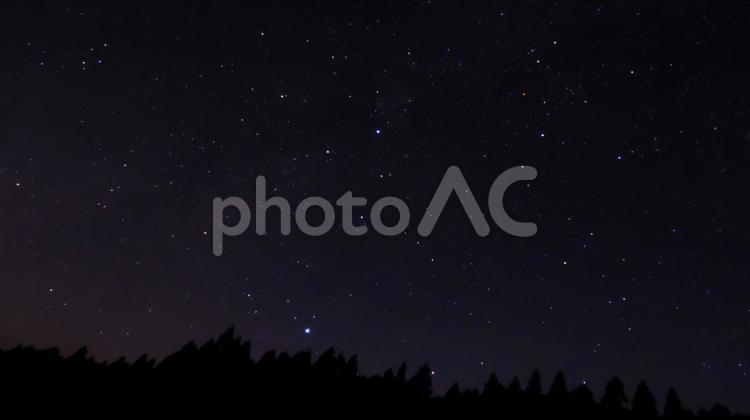 森の中のはくちょう座 森,木,はくちょう座の写真素材