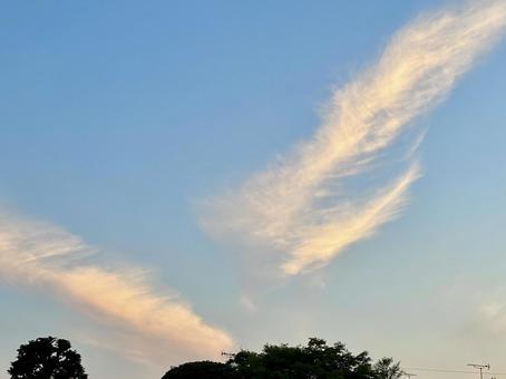 ピンク色の雲のある夕空 ピンク色の雲のある夕空の写真