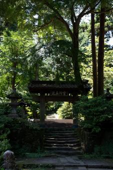 ［神奈川県鎌倉市］夏｜浄智寺 浄智寺,山門,寺院の写真素材