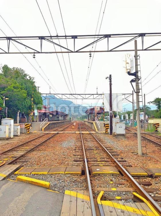 秩父の線路 線路,秩父,鉄道の写真素材