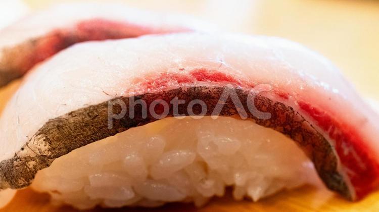 シマアジのにぎり寿司 シマアジ,にぎり寿司,寿司の写真素材