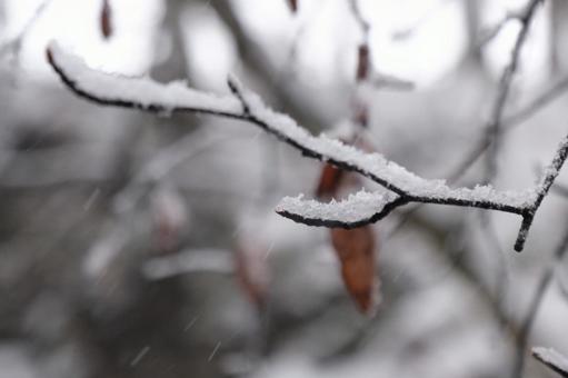雪景色 雪景色の写真