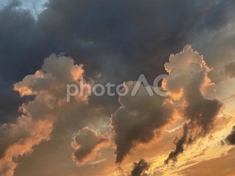 【風景写真】夏空 夏空,空,雲の写真素材