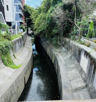 渋谷川 渋谷川の写真