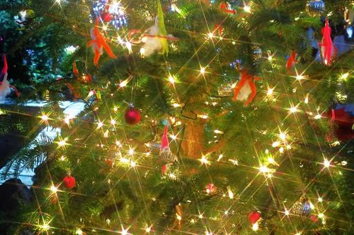 クリスマスツリーのクローズアップ クリスマス,イルミネーション,冬の写真素材