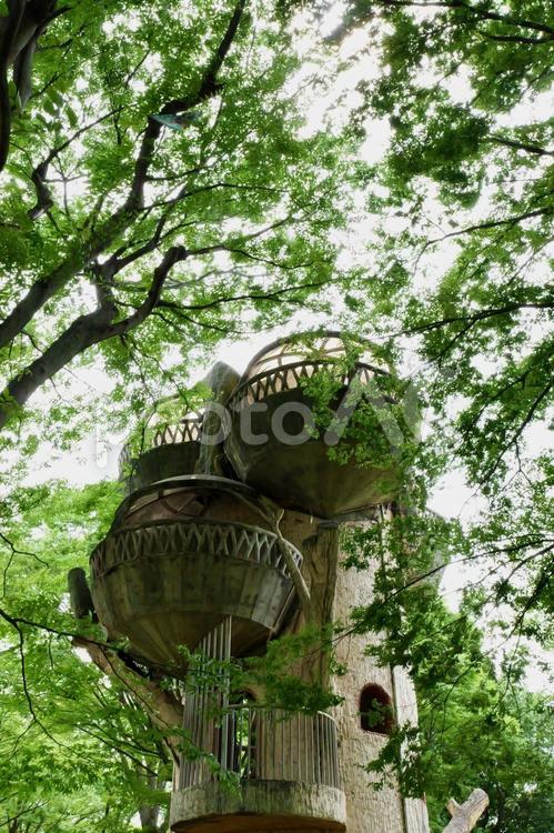 相模原公園の森の木展望台 森の木展望台,相模原公園,展望台の写真素材