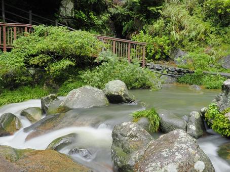 美しい渓流 渓流,綺麗,美しいの写真素材