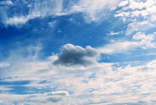 青空と灰色の積雲と。 青空と灰色の積雲と。の写真
