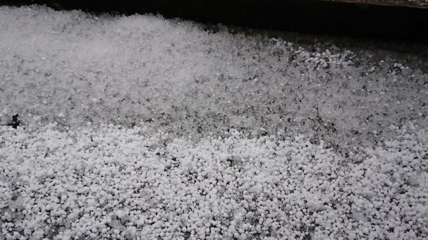 雪 雪の写真