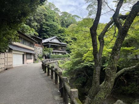 明治の森 箕面国定公園 明治の森 箕面国定公園の写真