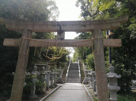 伊和志津神社 鳥居 伊和志津神社 鳥居の写真