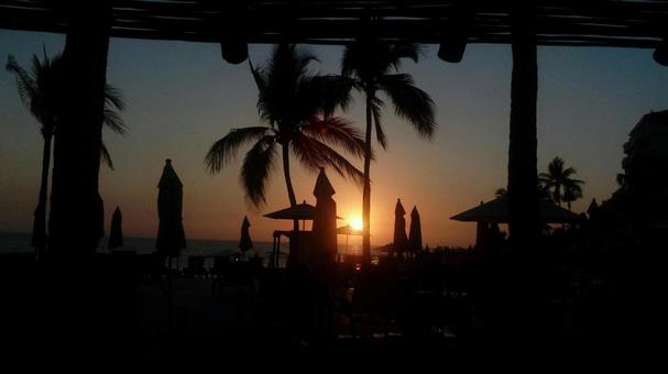 ヤシの木と夕日 ヤシの木と夕日 メキシコ,プエルトバジャルタ,海の写真素材
