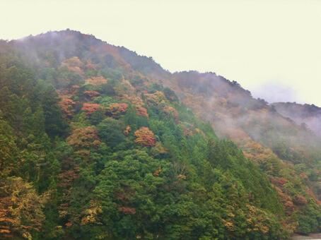 霧に包まれた天川村の山々 天川村,奈良県,山の写真素材