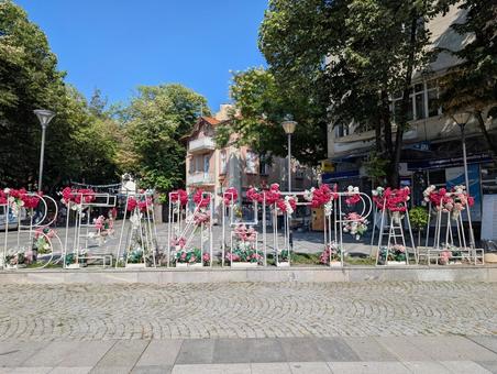 ヴェリングラッド ヴェリングラッド 公園,オブジェクト,花の写真素材