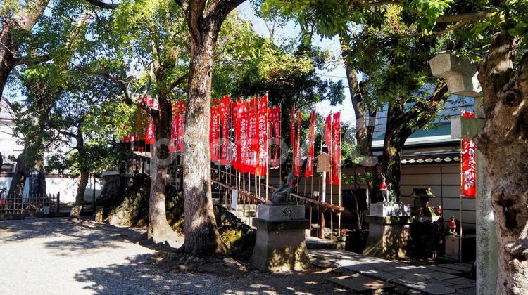 早春の西新井大師の境内・出世稲荷・足立区 早春,西新井大師,出世稲荷の写真素材