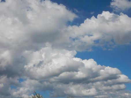 【風景写真】夏空 【風景写真】夏空の写真