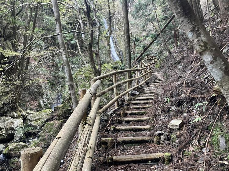 五光の滝への階段 五光の滝,階段,木の写真素材