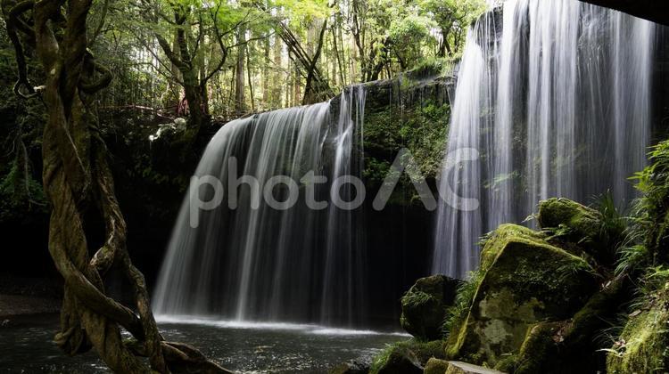 滝（熊本県鍋ヶ滝） 滝,自然,川の写真素材