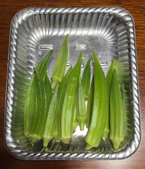 R7.09.18　オクラの収穫 野菜の収穫,オクラの収穫,オクラの写真素材
