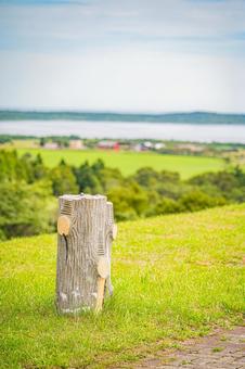 北海道 クローバの丘 北海道 クローバの丘の写真