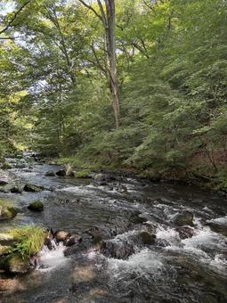 長野県軽井沢町 湯川-9 長野県軽井沢町 湯川-9 長野県,長野,信州の写真素材
