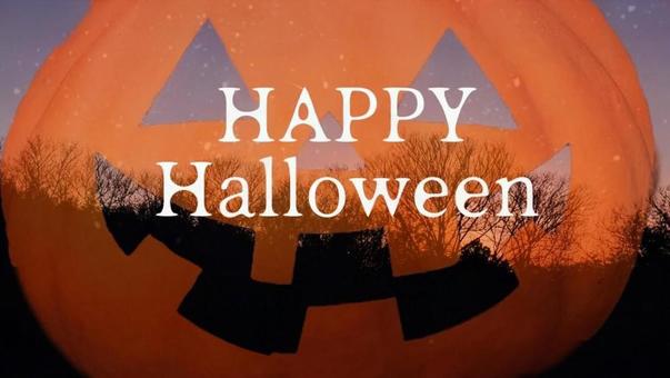 夜の森に浮かぶジャックオランタン② 夜の森に浮かぶジャックオランタン② ハロウィン,ハロウィーン,カボチャの写真素材