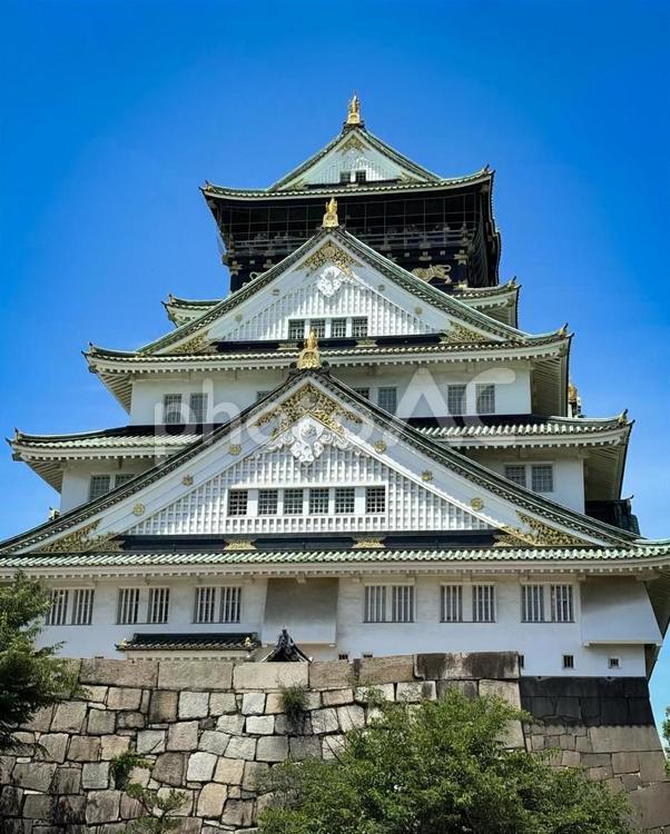 青空に映える大阪城の壮麗な天守閣 大阪城,お城,天守閣の写真素材