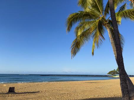 ハワイ　ヤシの木とビーチ ハワイ,マウイ島,アメリカの写真素材
