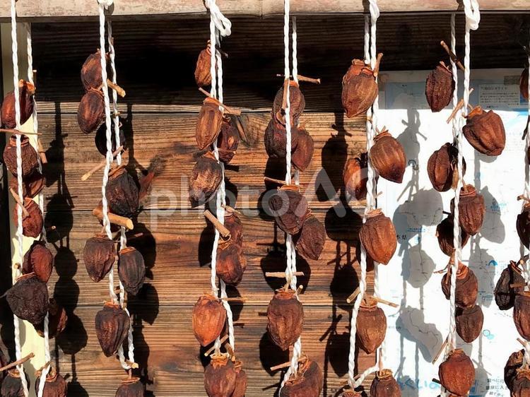 軒先の干し柿づくり 干し柿,つるす,軒先の写真素材